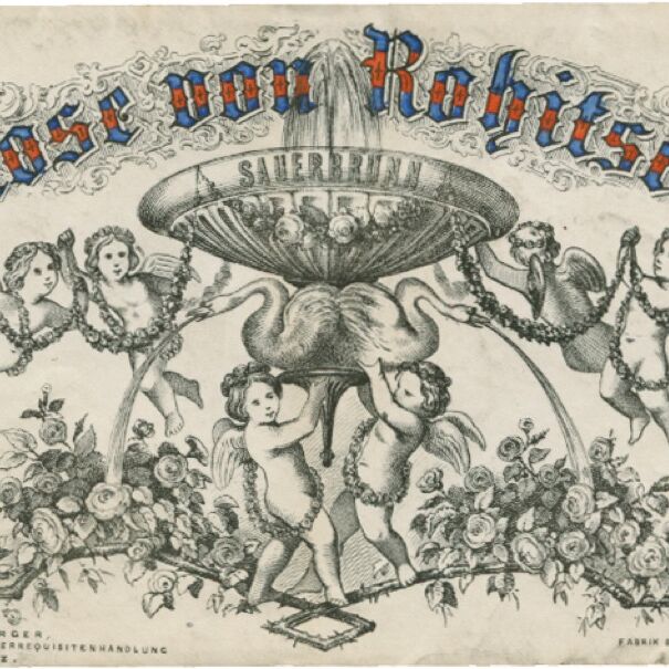 Umschlag "Rose von Rohitsch": Schriftzug in Blau und Rot.