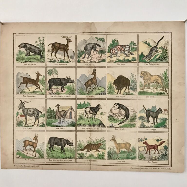 20 rectangles with domestic (goat, weasel, roe deer...) and exotic animals.