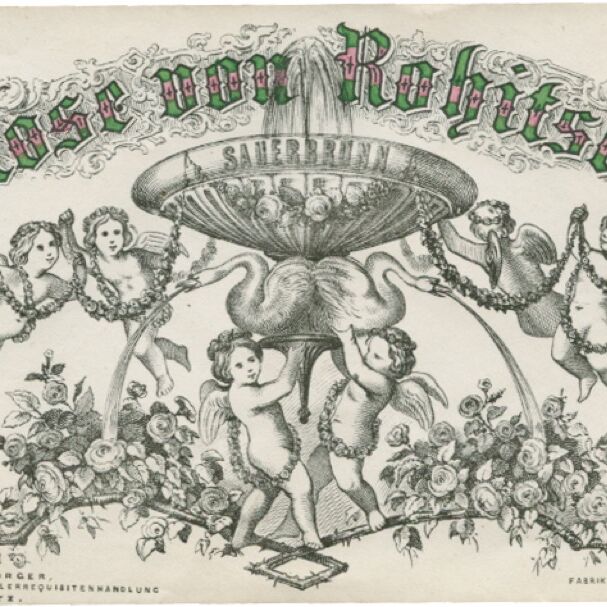 Umschlag von "Rose von Rohitsch". Schriftzug in Grün und Rosa.